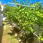 別荘 Casa Sp- With Heated Pool Near Vilamoura, Vale Do Lobo