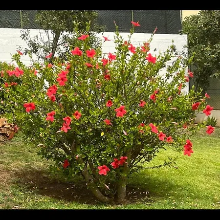 Casa Sp- With Heated Pool Near Vilamoura, Vale Do Lobo * Quarteira